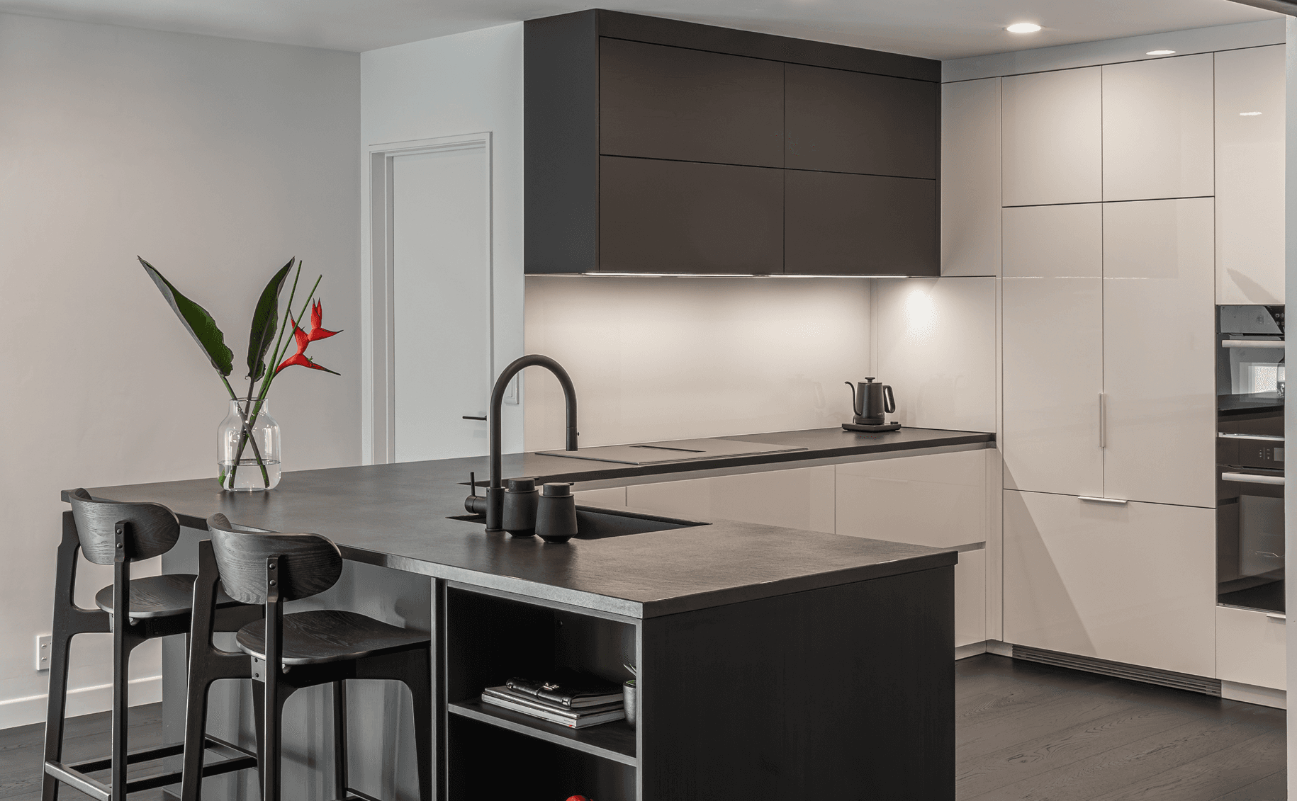 Modern Minimalist Kitchen