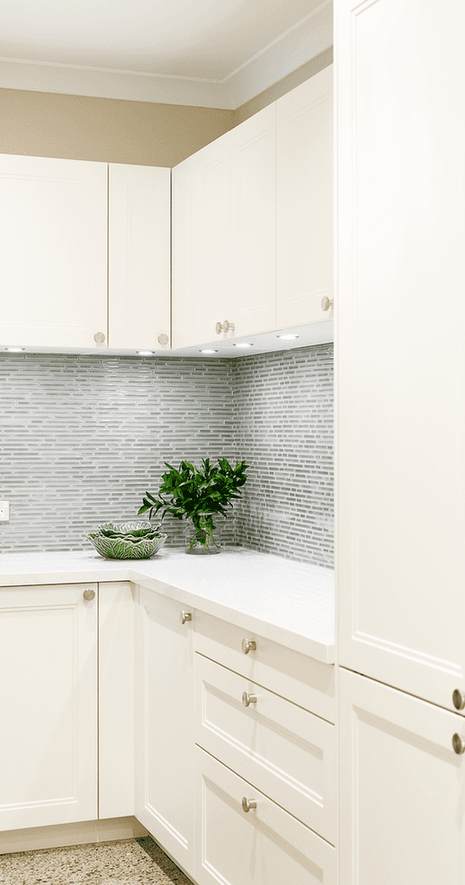 David and Silvia Milner kitchen detail